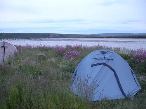 Alaska Fielwork Campaign, 2010.JPG