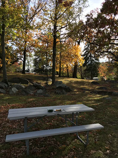 Breakfast At The Tree Ring Lab, Lamont Doherty Earth Observatory, Palisades, NY.jpg