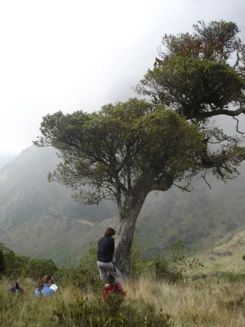 Coring In Colombia, 2010.JPG