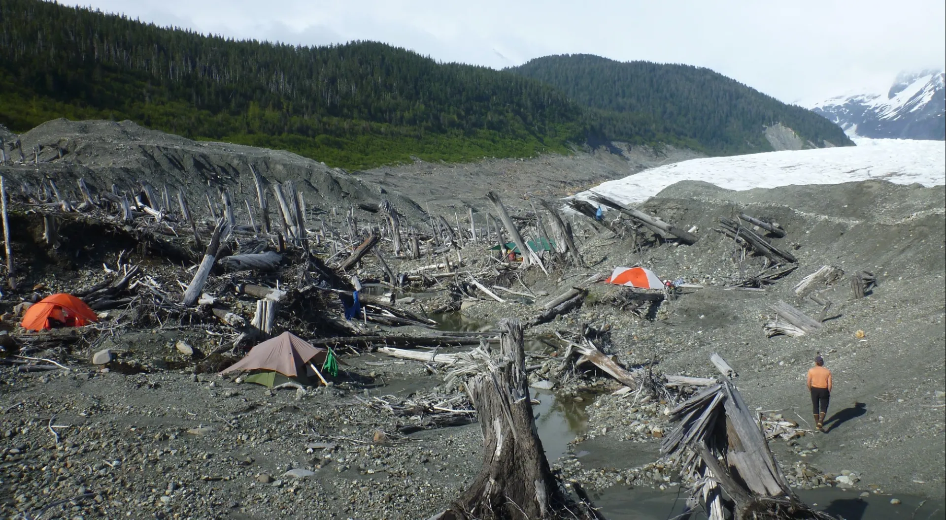 Fieldwork in La Perouse Glacier, June 2019. Credit: B. Gaglioti