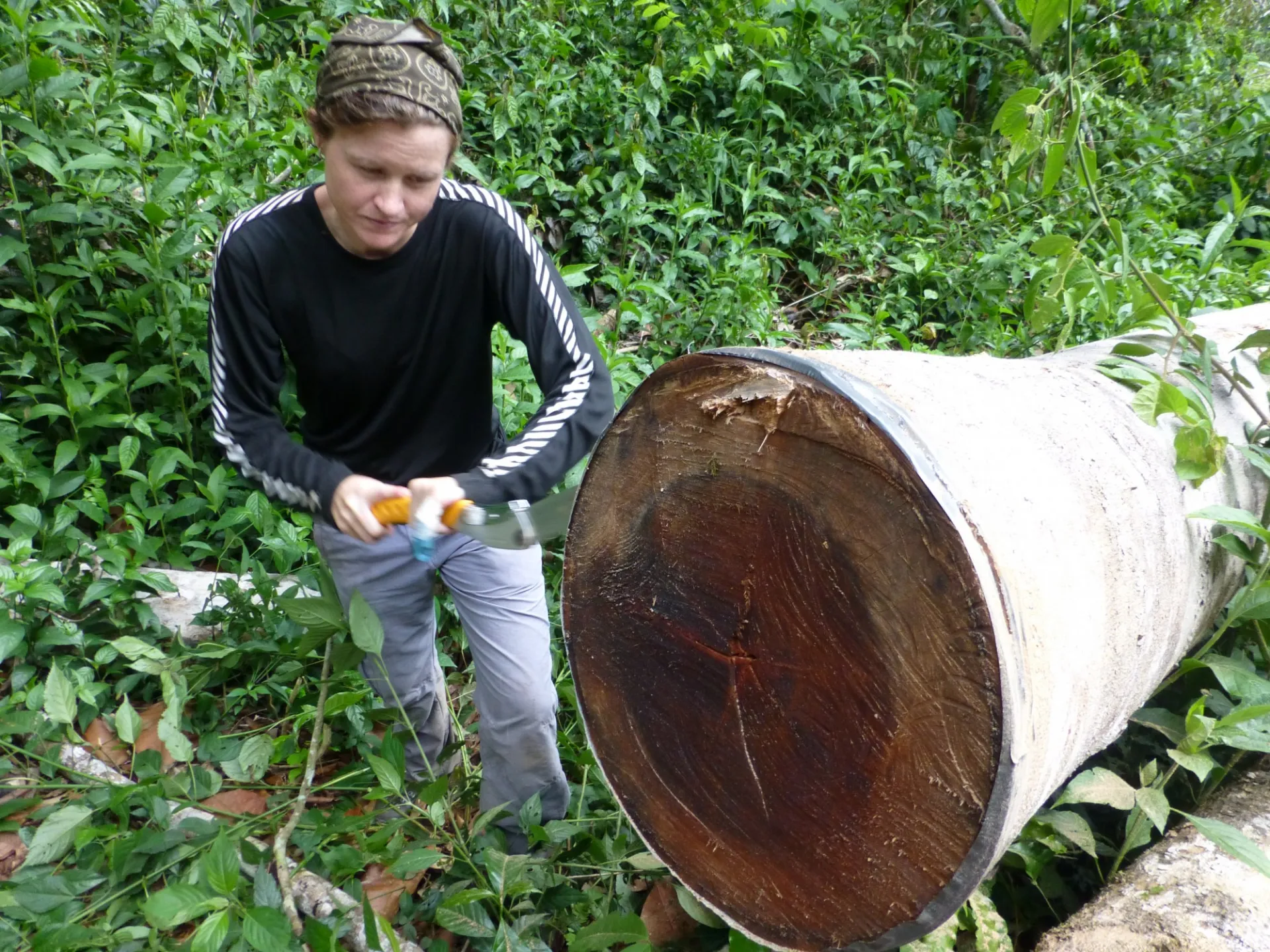 sawing